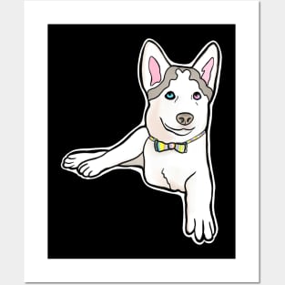 Adorable Three-Legged Tripod Husky Named Mochi with Rainbow Bow Tie Posters and Art